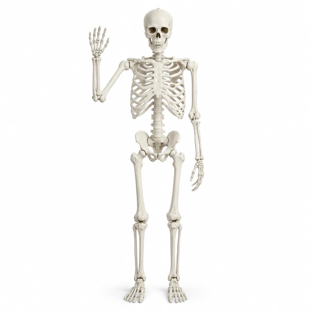 Halloween Skeleton Poseable Prop C9764