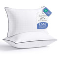 King Size Down Alternative Microfiber Pillows Set of 2 Q383