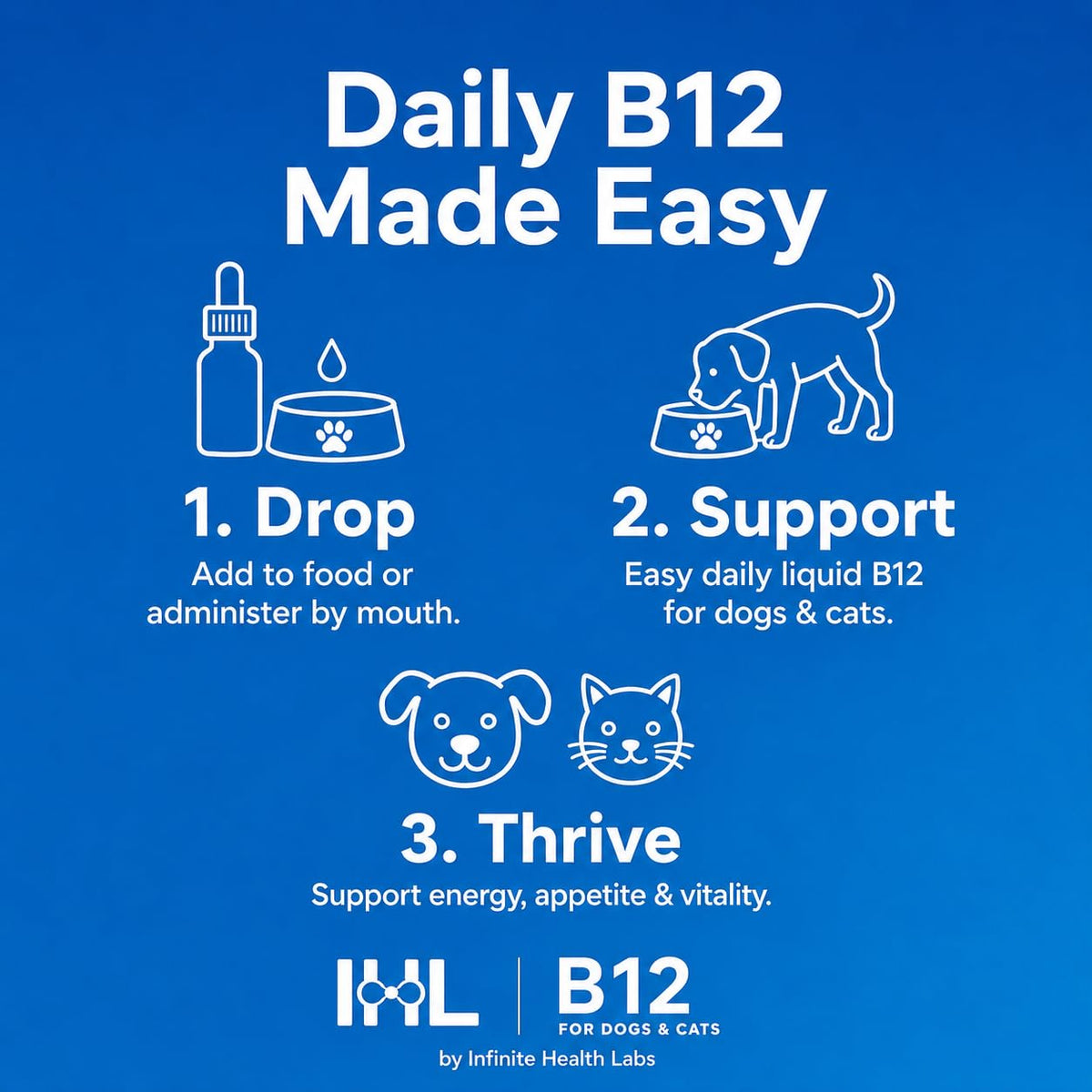 Vitamin B12 for Dogs & Cats, Methylcobalamin, 1 oz O997841