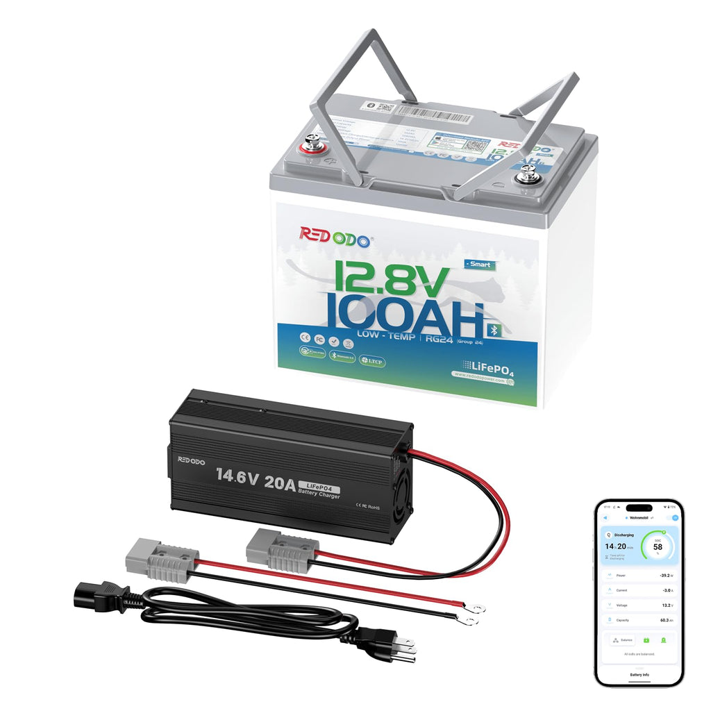 12V 100Ah LiFePO4 Battery with Charger E65877