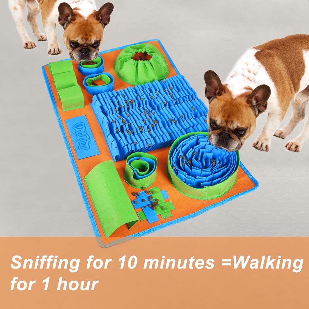 Interactive Dog Puzzle Toy C509929