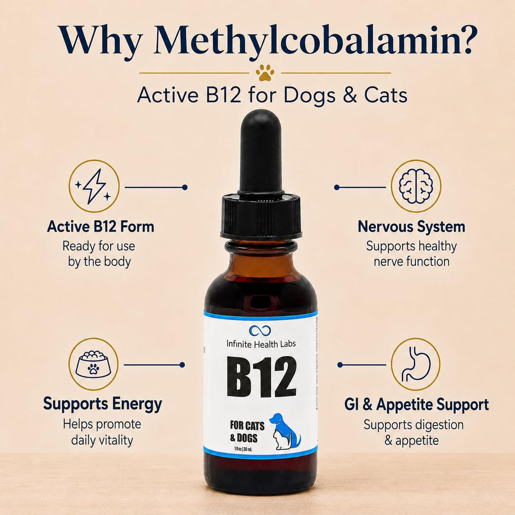 Vitamin B12 for Dogs & Cats, Methylcobalamin, 1 oz O997841