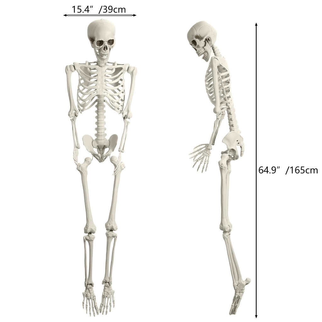 Halloween Skeleton Poseable Prop C9764
