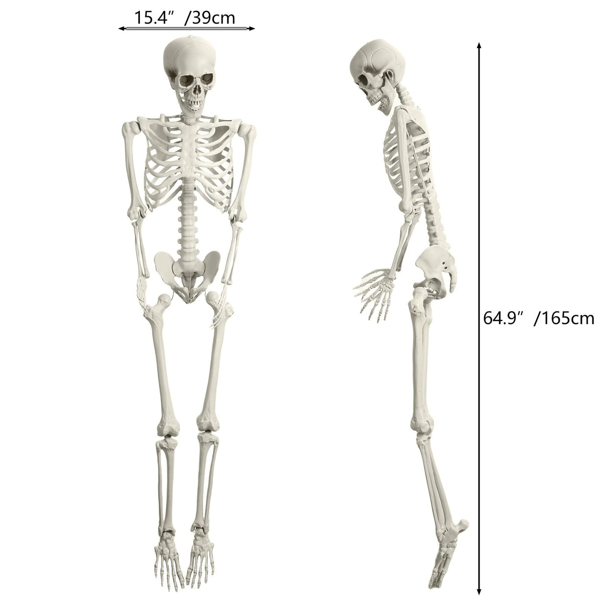 Halloween Skeleton Poseable Prop C9764