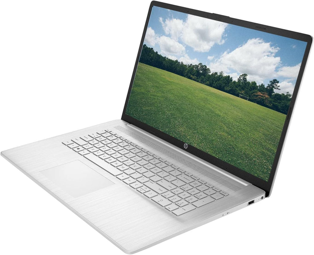 17.3" Touchscreen Laptop AMD Ryzen 5 16GB RAM 1TB SSD Natural Silver V403800