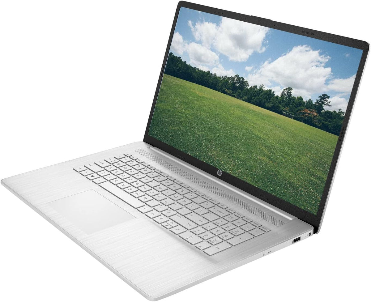 17.3" Touchscreen Laptop AMD Ryzen 5 16GB RAM 1TB SSD Natural Silver V403800