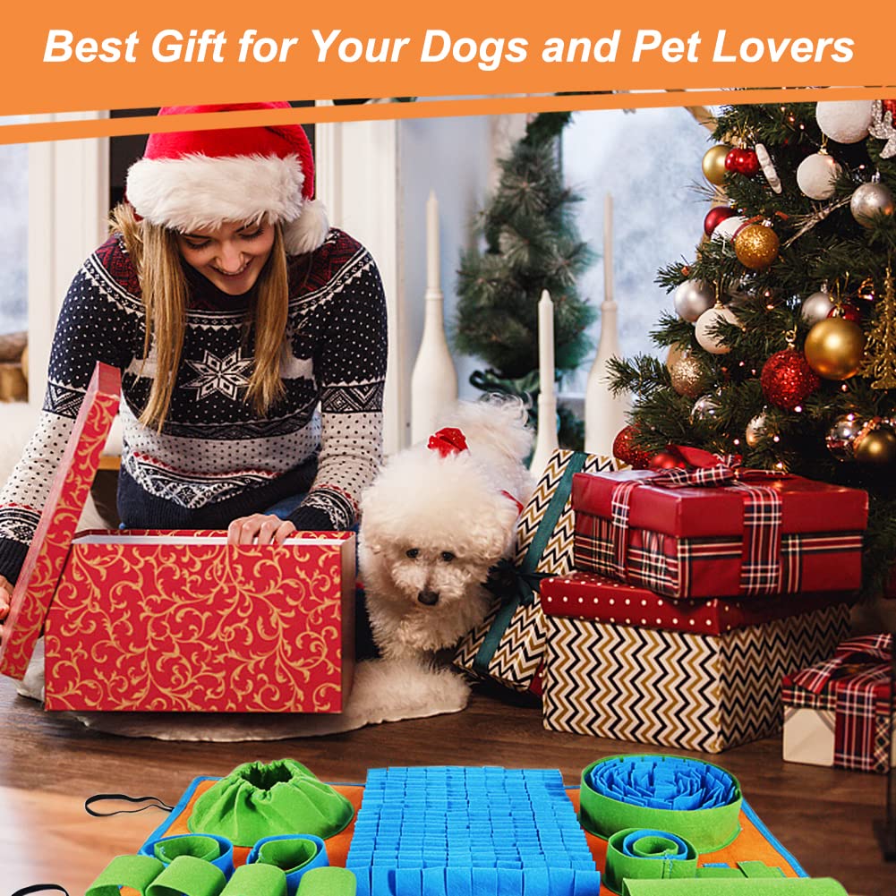 Interactive Dog Puzzle Toy C509929