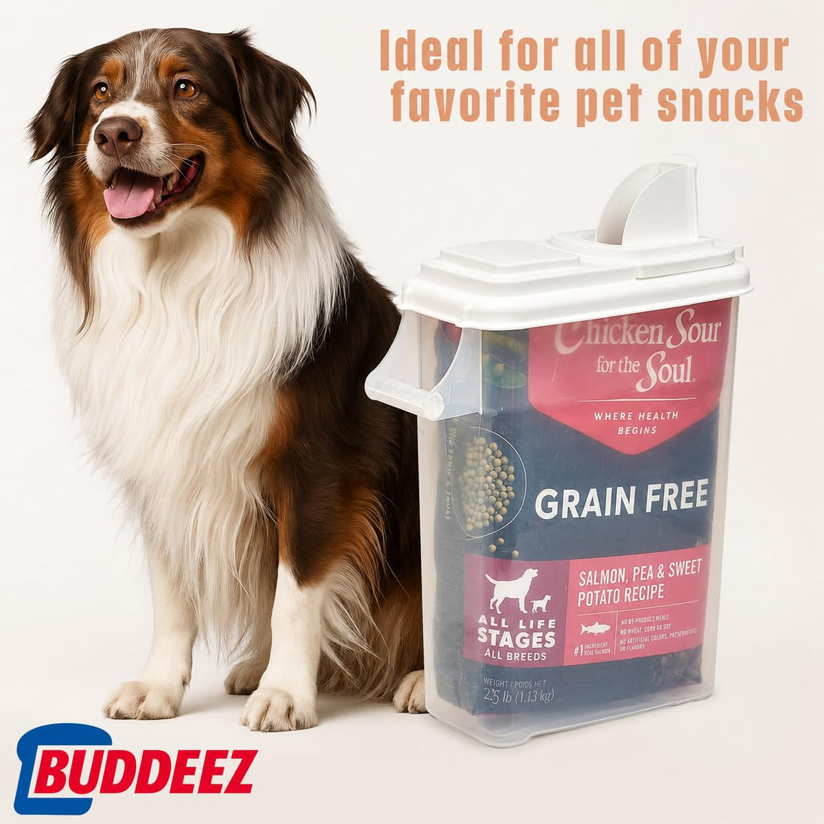 Airtight Pet Food Storage Container 32 Quart with Pour Spout H9939