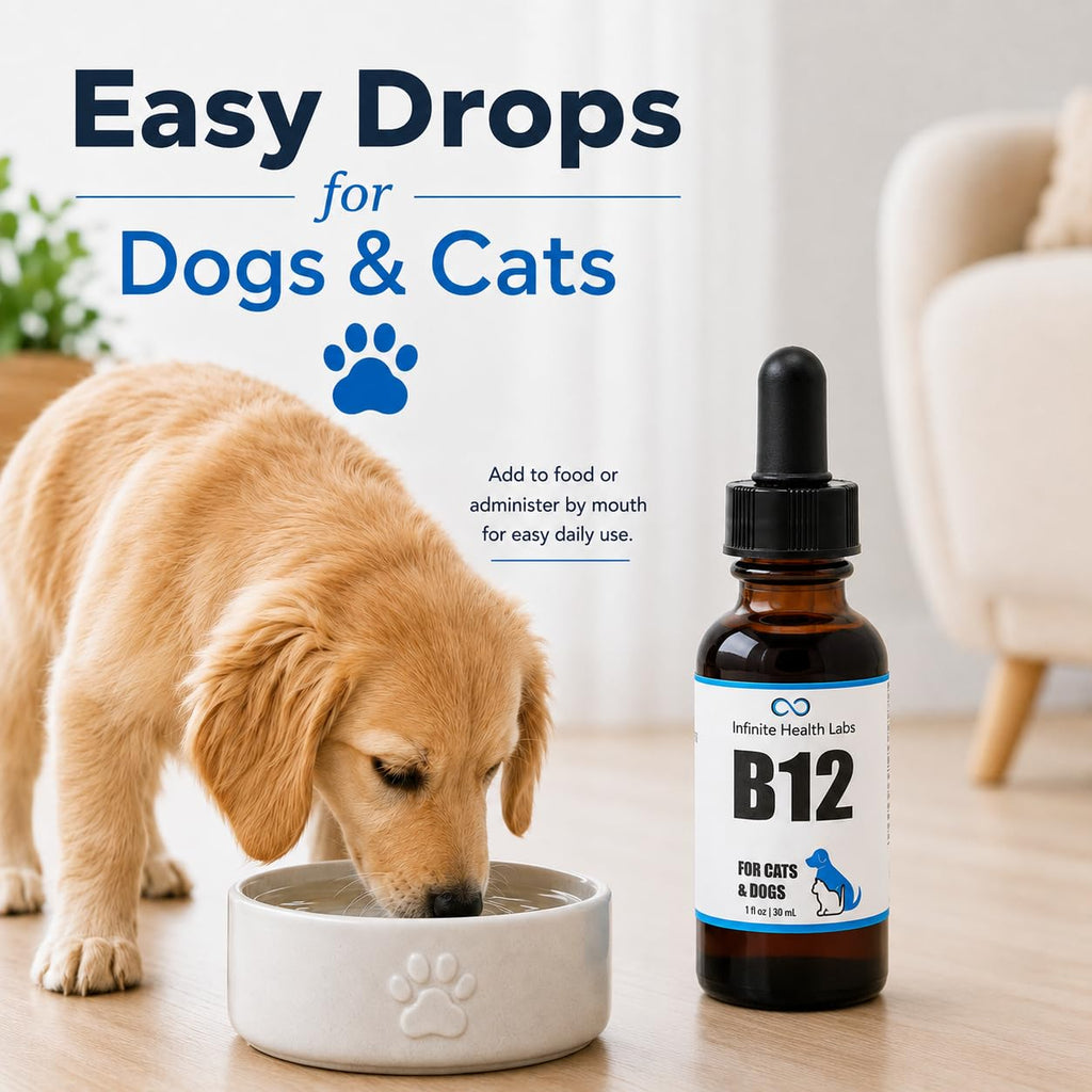 Vitamin B12 for Dogs & Cats, Methylcobalamin, 1 oz O997841