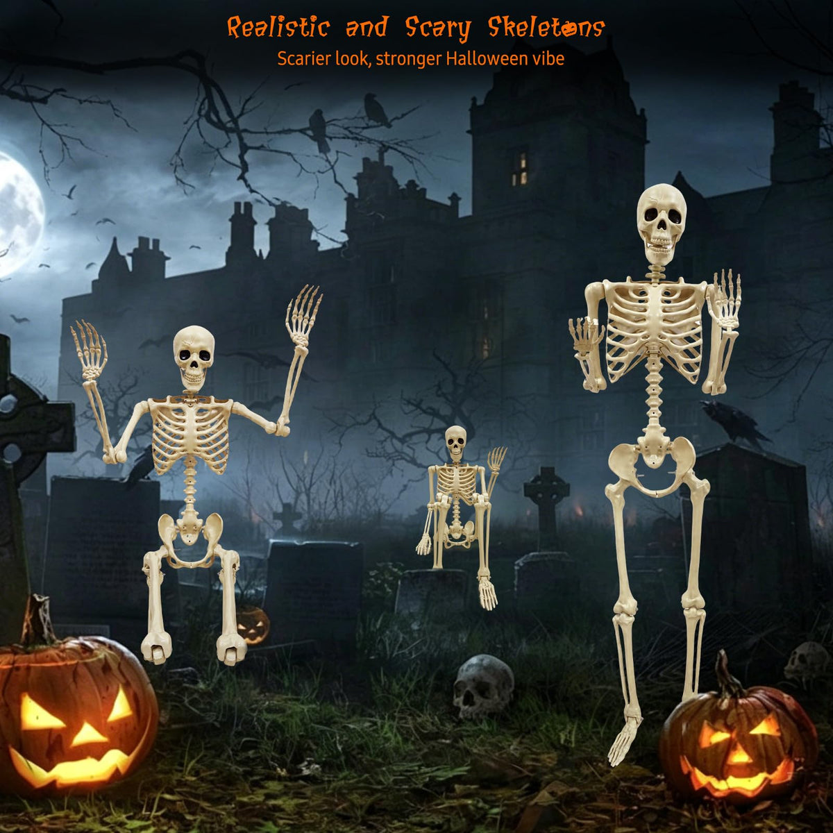 Life Size Skeleton J35675