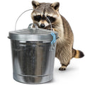 6 Gallon Galvanized Metal Trash Can with Lid F34127