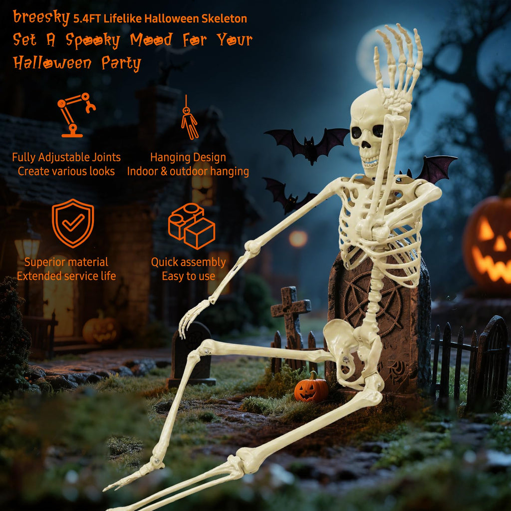 Life Size Skeleton J35675