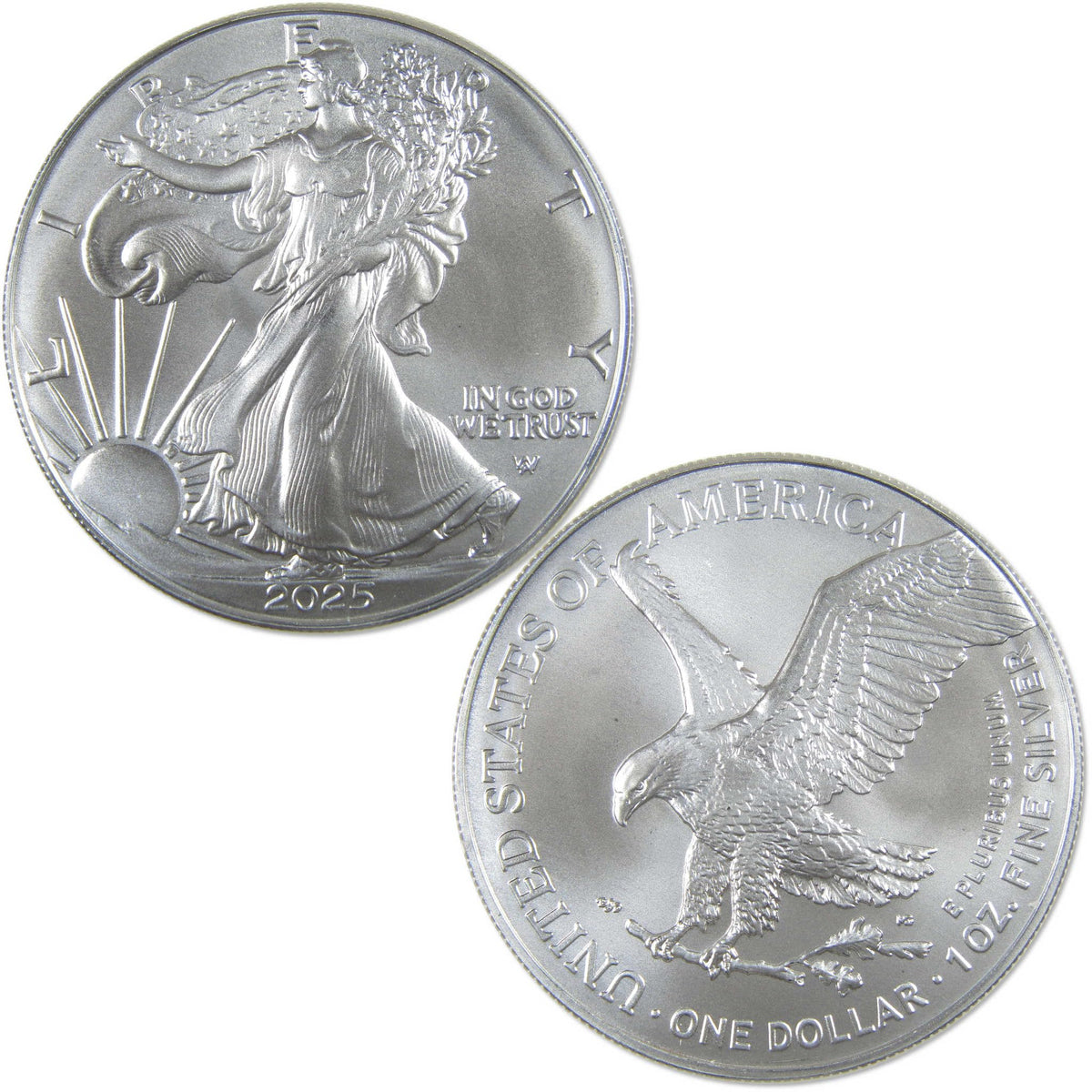 2025 American Silver Eagle $1 Coin Q4824