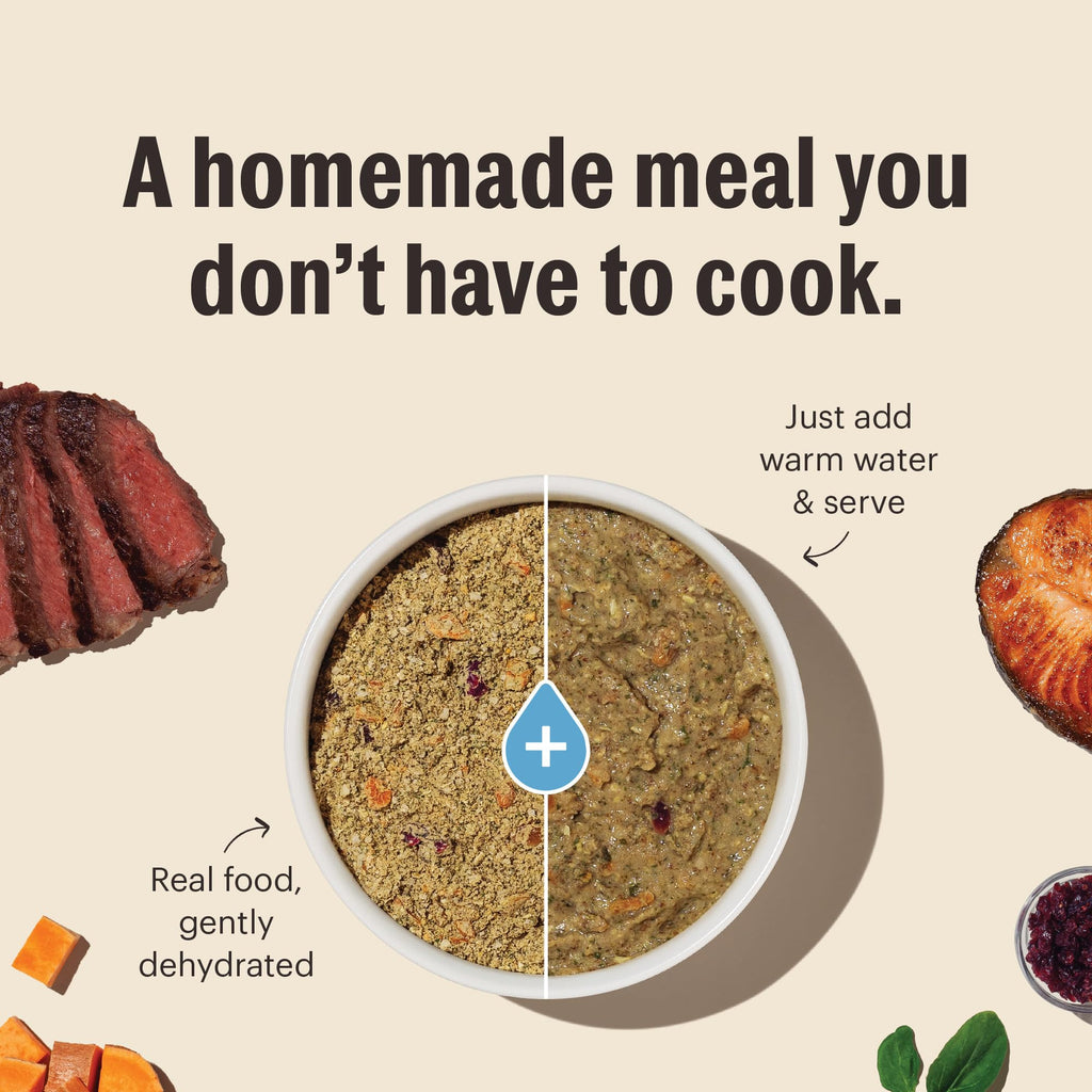 Whole Grain Chicken Recipe Dehydrated Dog Food 10 lb X340