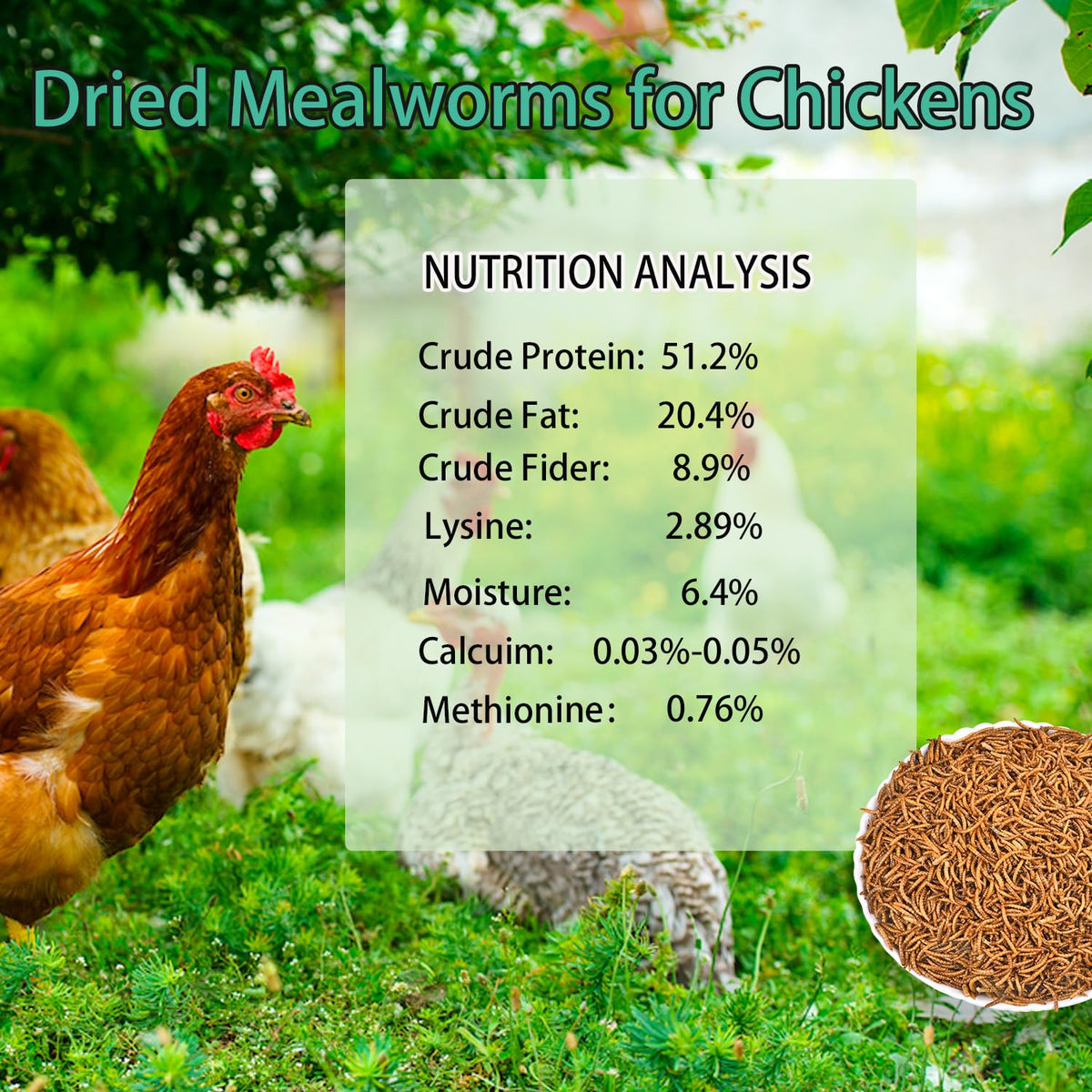 Dried Mealworms 20LB L373272
