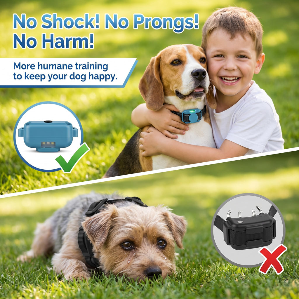Vibration Dog Training Collar with Remote B711