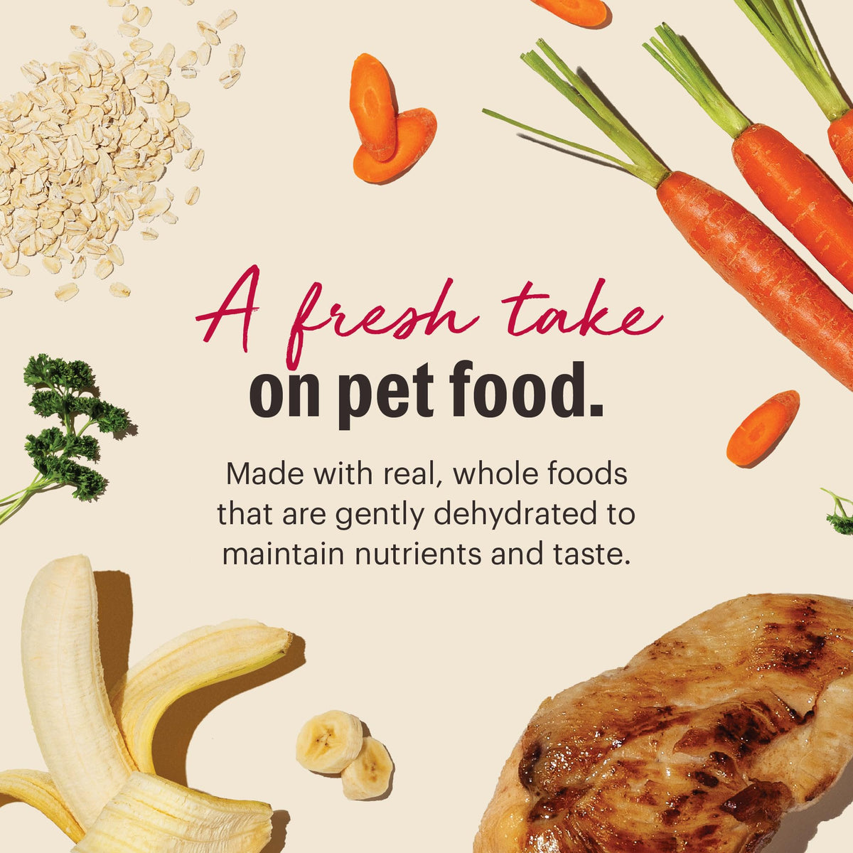Whole Grain Chicken Recipe Dehydrated Dog Food 10 lb X340