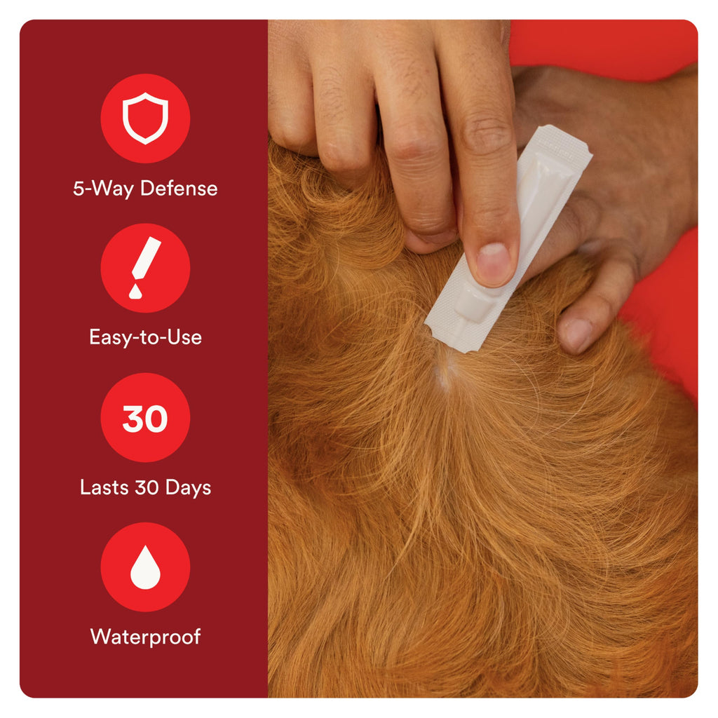 Flea and Tick Prevention for Small Dogs 4-10 lbs (4 Doses) + Flea Treatment for Dogs 2-25 lbs (6 Doses) Bundle S90230