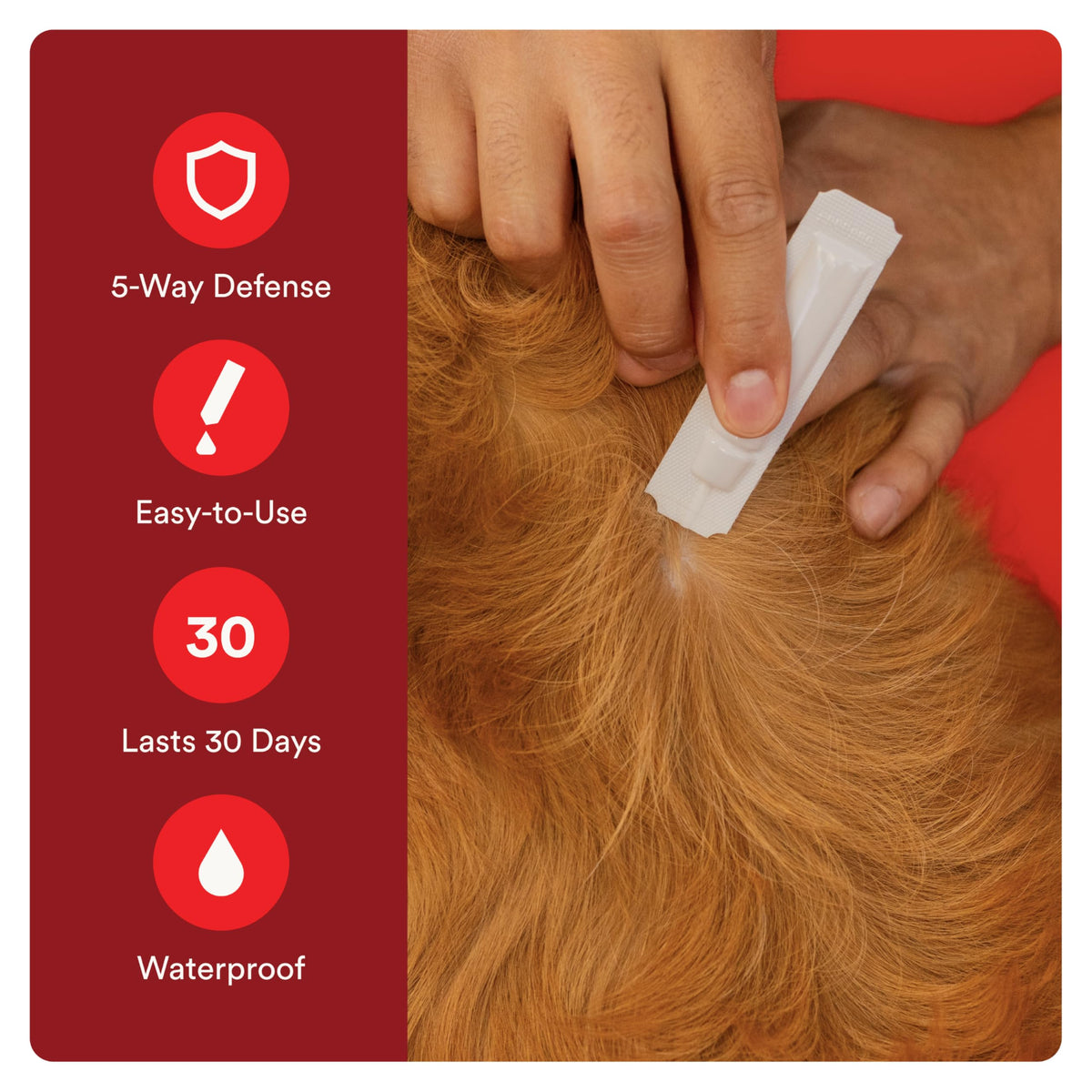 Flea and Tick Prevention for Small Dogs 4-10 lbs (4 Doses) + Flea Treatment for Dogs 2-25 lbs (6 Doses) Bundle S90230