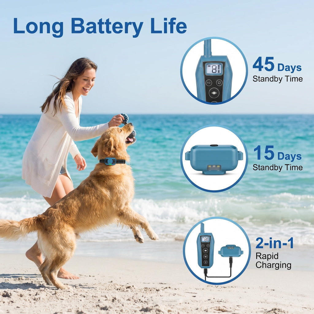 Vibration Dog Training Collar with Remote B711