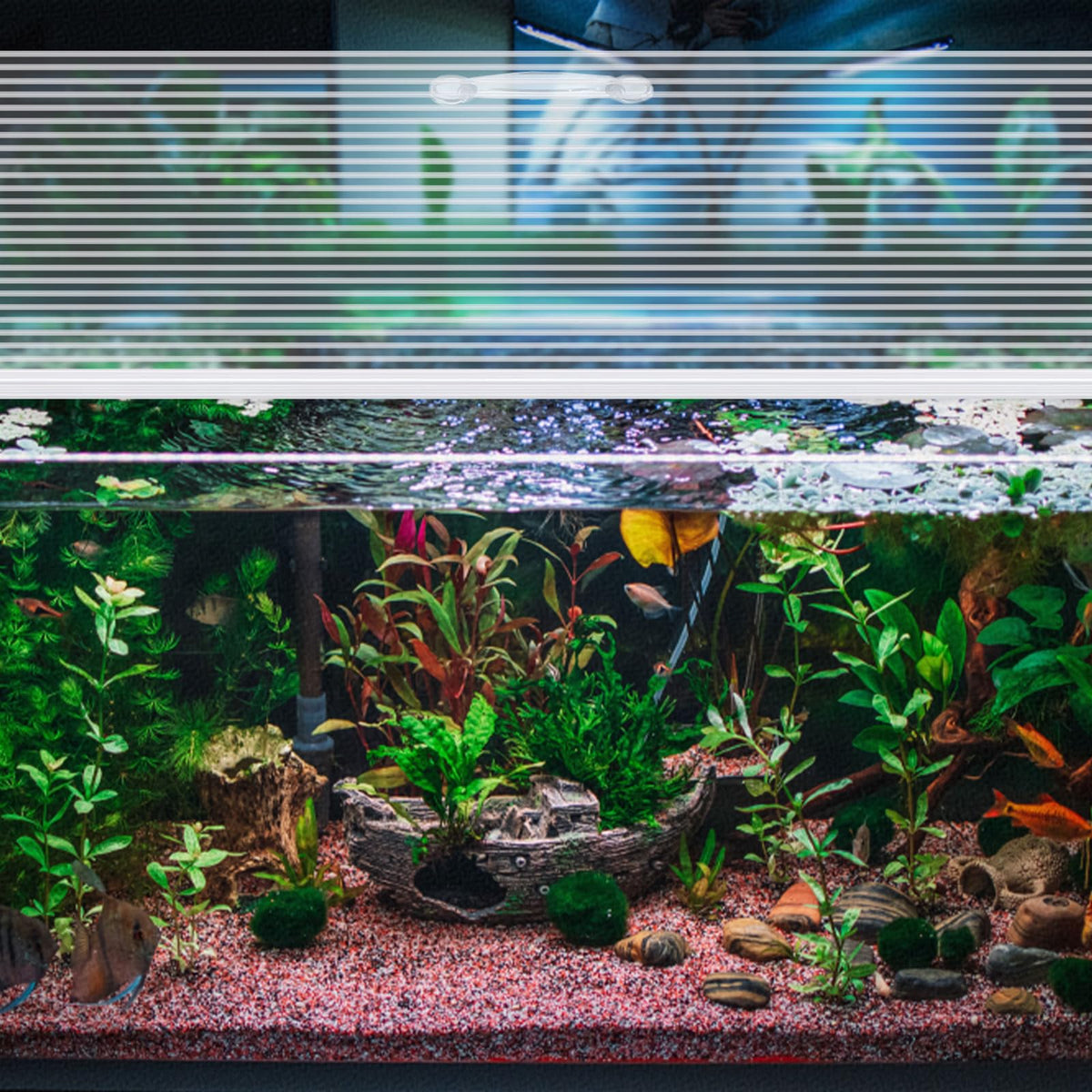 Clear 16 x 8 Inch Aquarium Lids Canopy Set M502