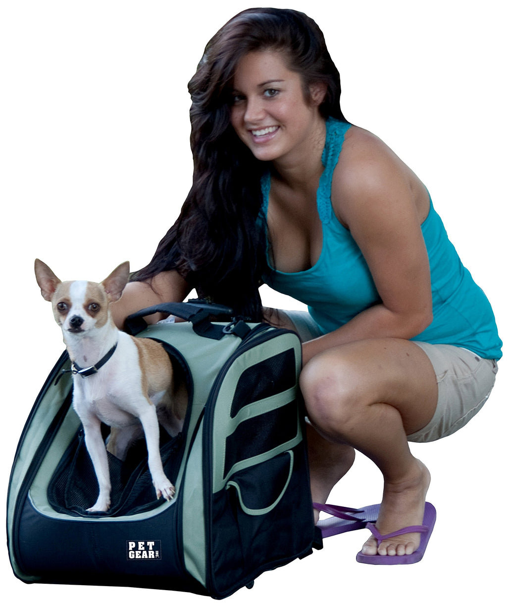 Large Pet Roller Backpack T2015
