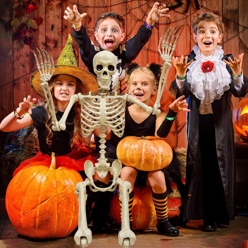 Life Size Skeleton J35675