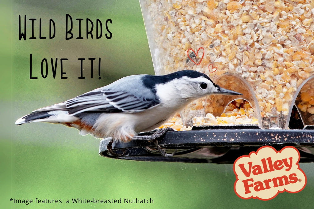 Cracked Corn Wild Bird Food 20 LB F331440