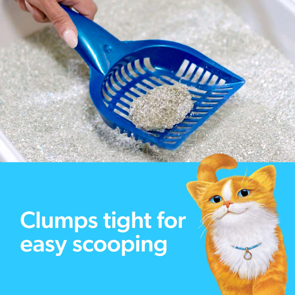 Multi Cat Clumping Cat Litter with Ammonia Block Tech 14 lb Y543