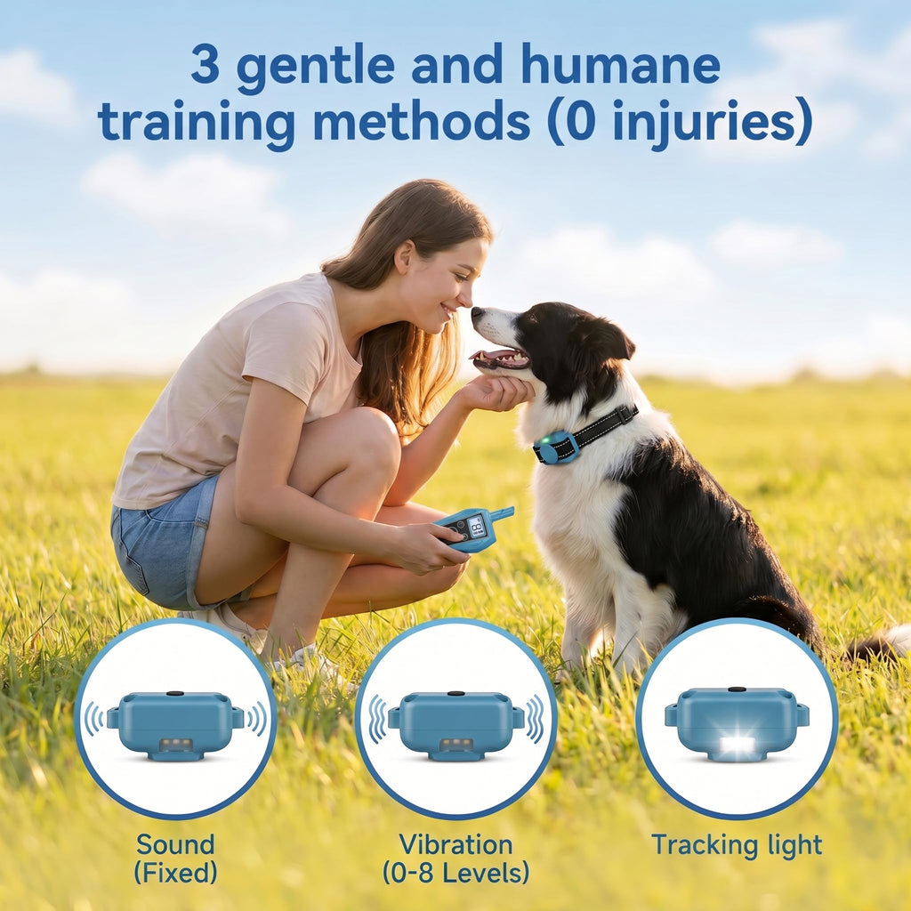 Vibration Dog Training Collar with Remote B711
