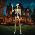 Life Size Skeleton J35675
