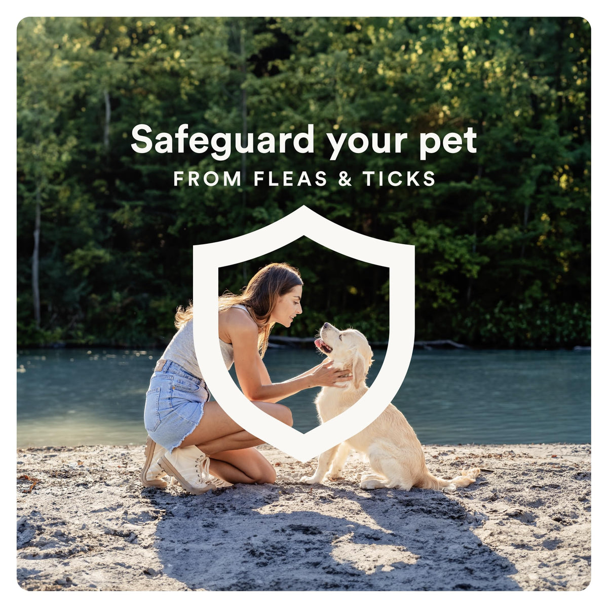 Flea and Tick Prevention for Small Dogs 4-10 lbs (4 Doses) + Flea Treatment for Dogs 2-25 lbs (6 Doses) Bundle S90230