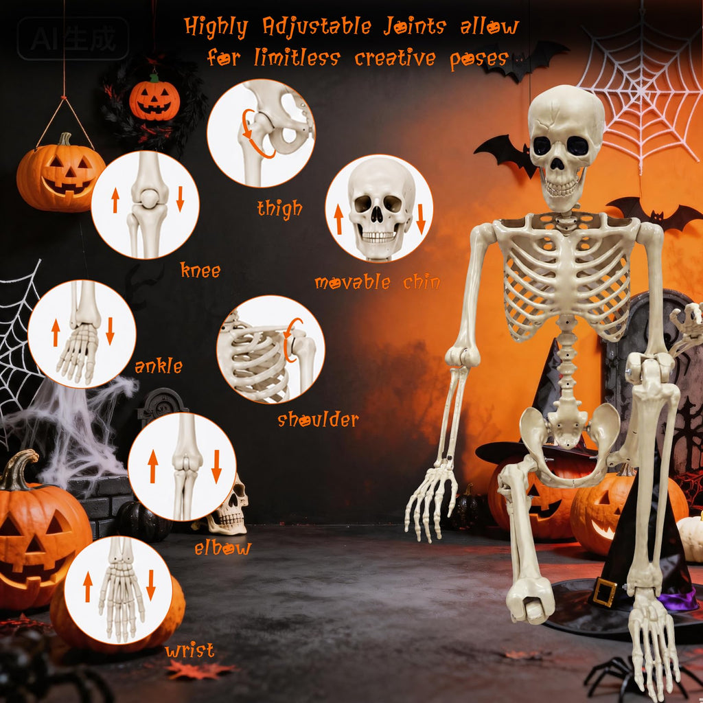 Life Size Skeleton J35675