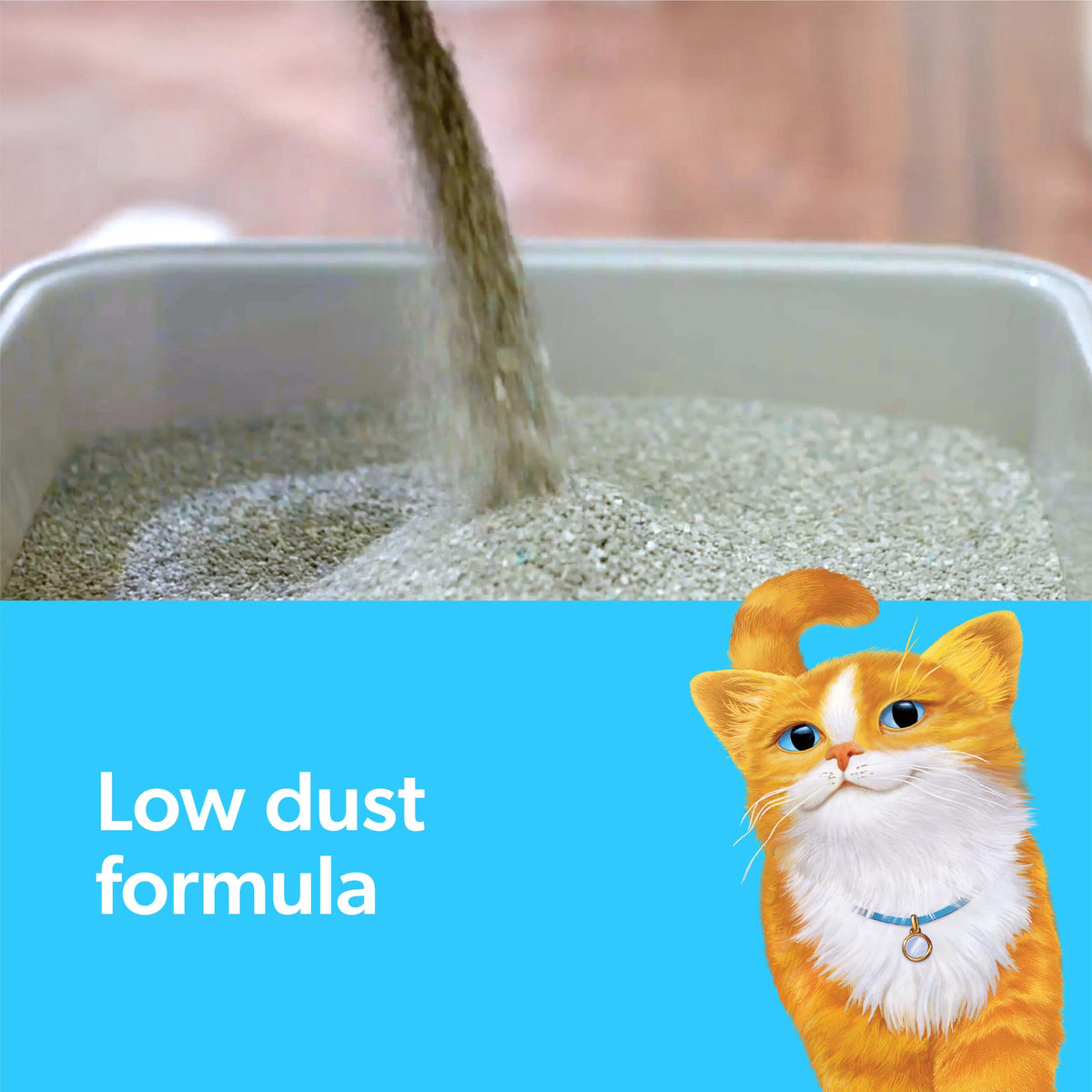 Multi Cat Clumping Cat Litter with Ammonia Block Tech 14 lb Y543