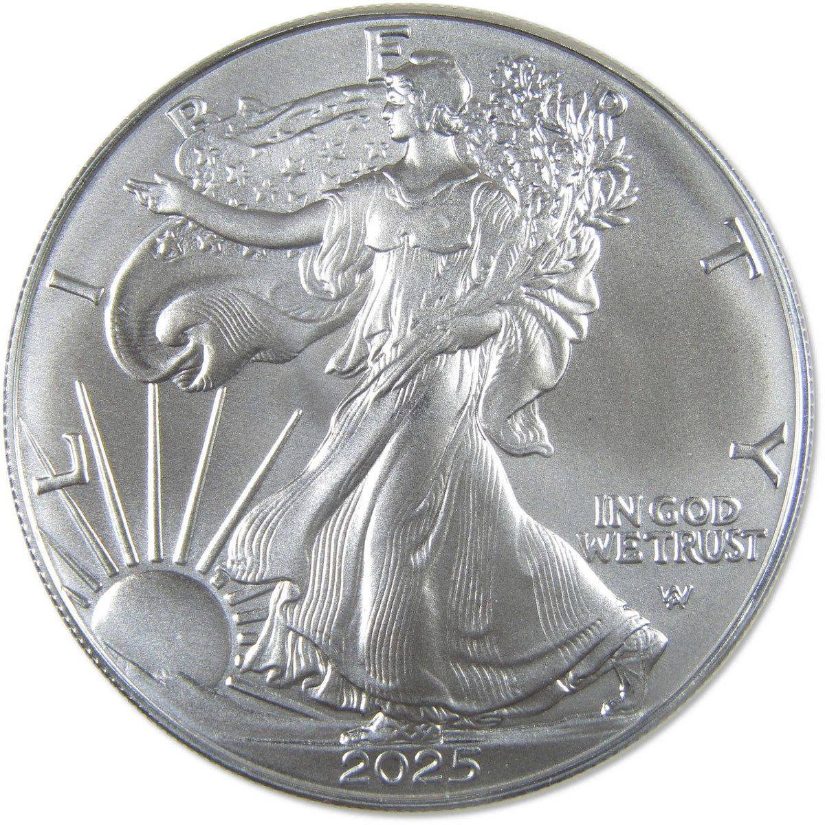 2025 American Silver Eagle $1 Coin Q4824