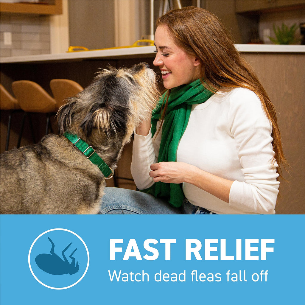Flea and Tick Prevention for Small Dogs 4-10 lbs (4 Doses) + Flea Treatment for Dogs 2-25 lbs (6 Doses) Bundle S90230